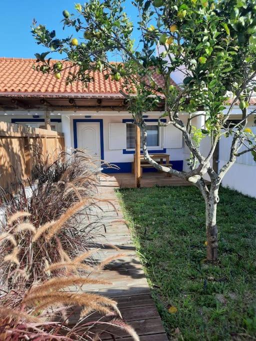 Sado House 3 Villa Comporta Ngoại thất bức ảnh